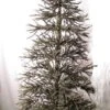 Artificial Christmas Tree - Rustic German Twig Tree - 7 Ft