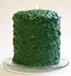 Cake Candle - Northern Pine - 5in X 4.5in