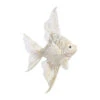 Christmas Ornament - White & Gold Angelfish - 10in -Christmas Store christmas ornament white gold angelfish 10in 12