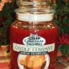 Christmas Tree Hill Candle - Apple Dumpling - 26oz 1 Christmas Tree Hill Candle - Apple Dumpling - 26oz -Christmas Store christmas tree hill fragranced candle 22oz jar apple dumpling 18