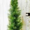 Long Needle Pine Twig Tree - Table Top Christmas Tree - 4 Foot -Christmas Store long needle pine twig tree table top christmas tree 4ft 16