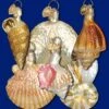 Old World Christmas Glass Ornament - Sea Shell Set Of 6 -Christmas Store old world christmas glass ornament sea shell set of 6 new 21