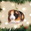 Old World Christmas Glass Ornament - Guinea Pig -Christmas Store old world christmas ornament guinea pig 15