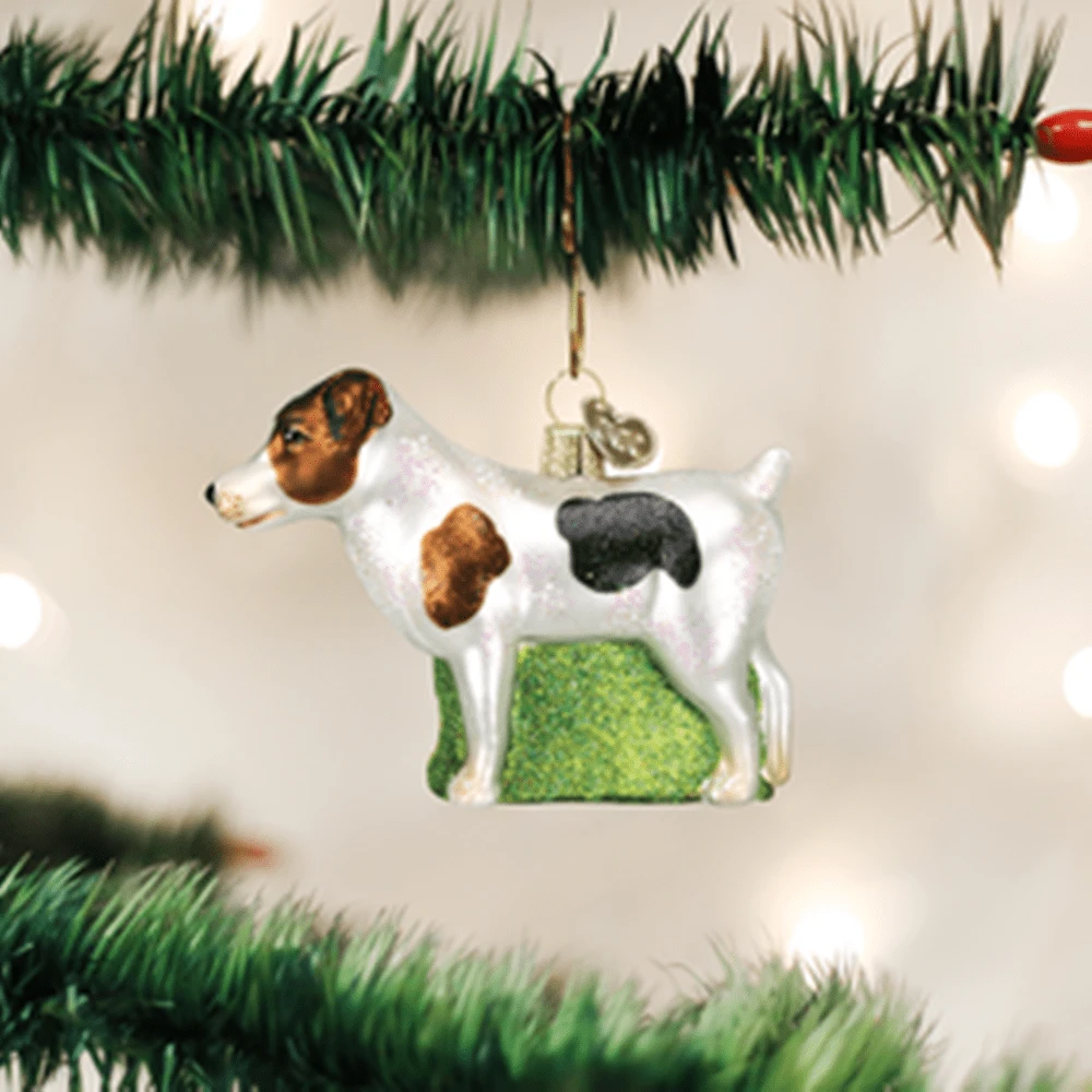 Old World Christmas Glass Ornament - Jack Russell Terrier 3 Old World Christmas Glass Ornament - Jack Russell Terrier