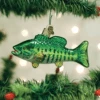 Old World Christmas Glass Ornament - Smallmouth Bass -Christmas Store old world christmas ornament smallmouth bass 15